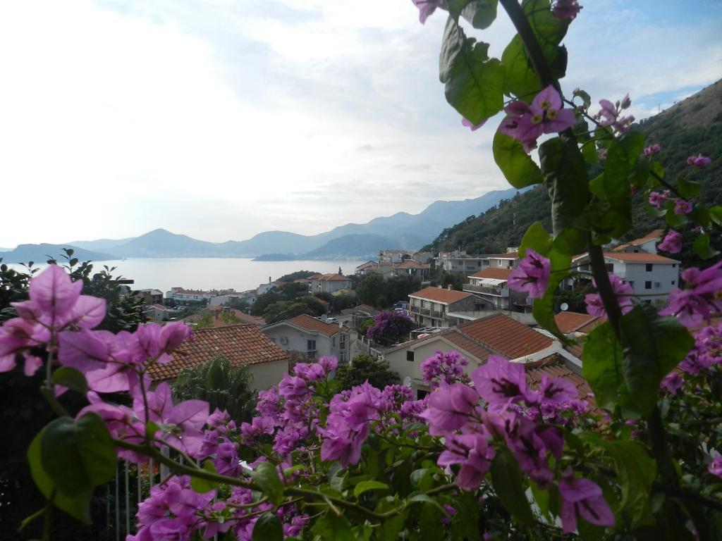 Apartments Aleksandar Sveti Stefan Exterior foto